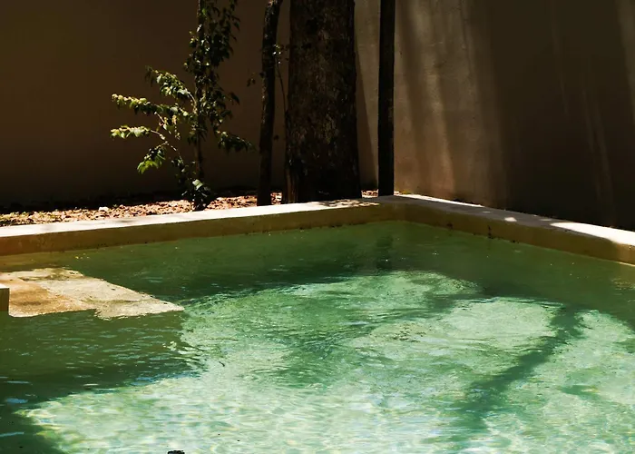 Jungle 4br Private Pool