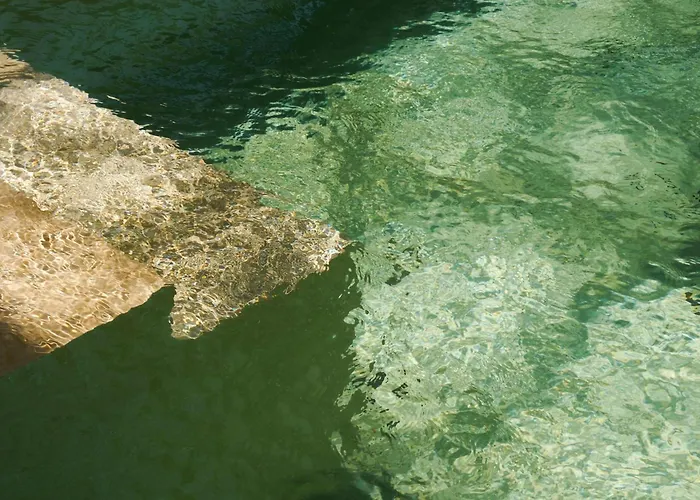 Holiday home Jungle 4br Private Pool *